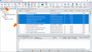 Quercusoft. Vista "Itemizado". En la tabla principal se muestran los valores pegados. Las tareas del capítulo 1 están seleccionadas y una flecha las señala. Una flecha señala el botón "Bajar nivel" en la barra de herramientas.