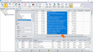 Quercusoft. Vista "Explorador". En la tabla principal de la vista se muestran los resultados de la búsqueda. Las celdas de la columna "Descripción" están seleccionadas y hay una flecha señalándolas.