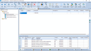 Quercusoft. Vista "Itemizado".